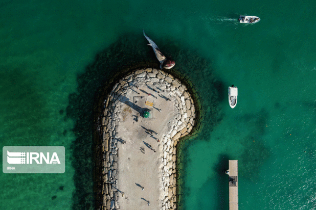 مرگ دومین نهنگ به گل نشسته جزیره کیش