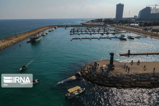 مرگ دومین نهنگ به گل نشسته جزیره کیش