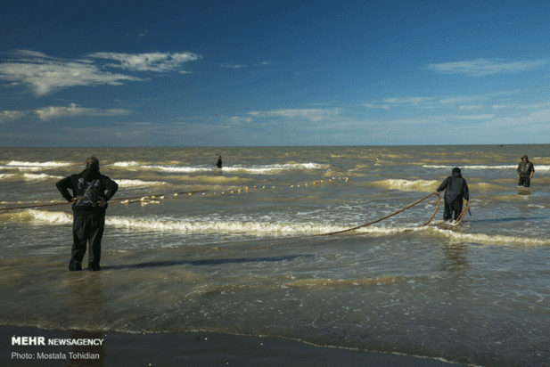 صید پره ماهی