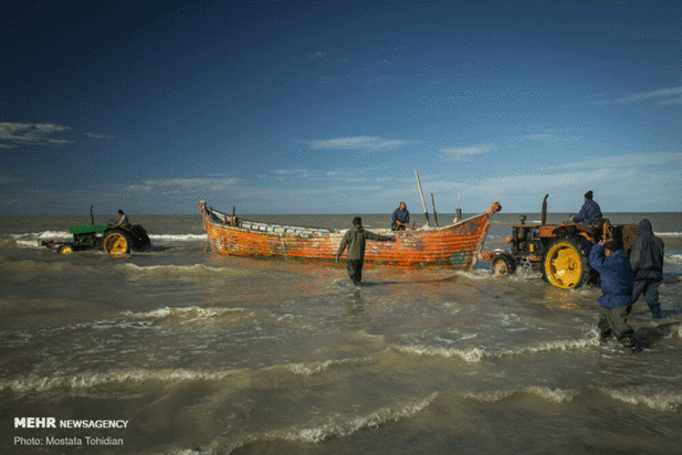 صید پره ماهی