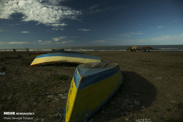 صید پره ماهی