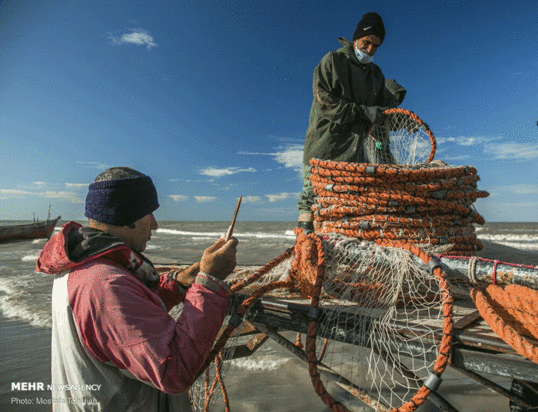 صید پره ماهی