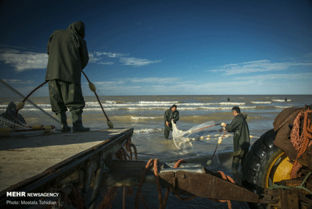 صید پره ماهی