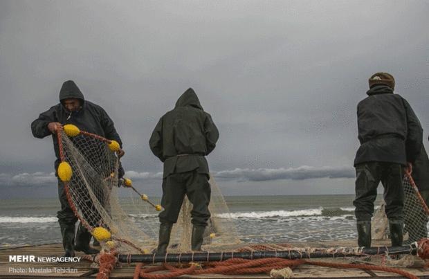 صید پره ماهی
