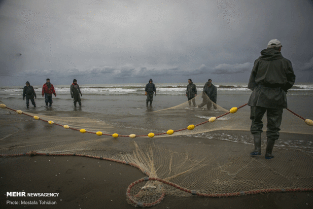 صید پره ماهی