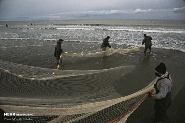 صید پره ماهی