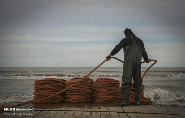 صید پره ماهی