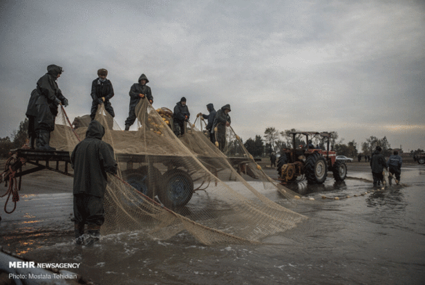 صید پره ماهی