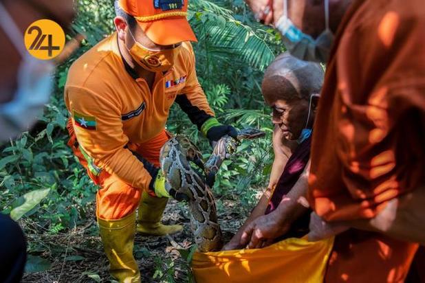 مارهای میانمار در معابد