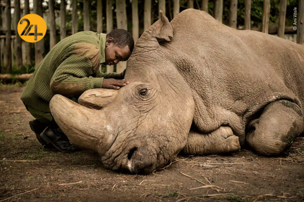 یک هفته در تصویر به روایت رویداد24