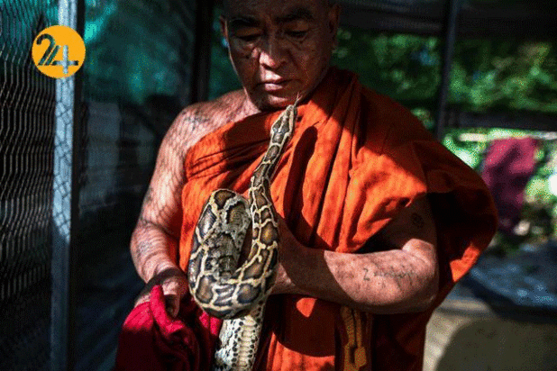 یک هفته در تصویر به روایت رویداد24