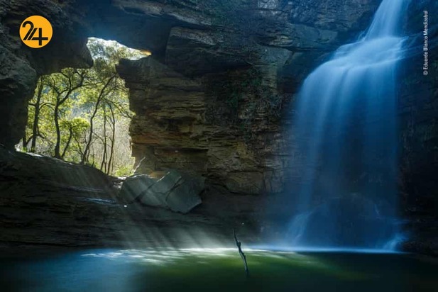 شگفتیهای حیات وحش