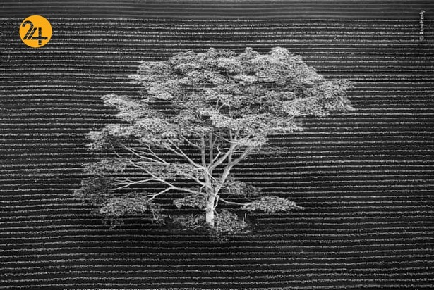 شگفتیهای حیات وحش