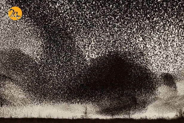 خورشید سیاه