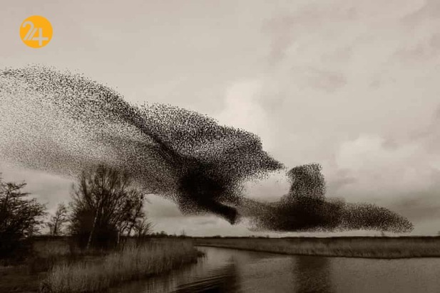 خورشید سیاه