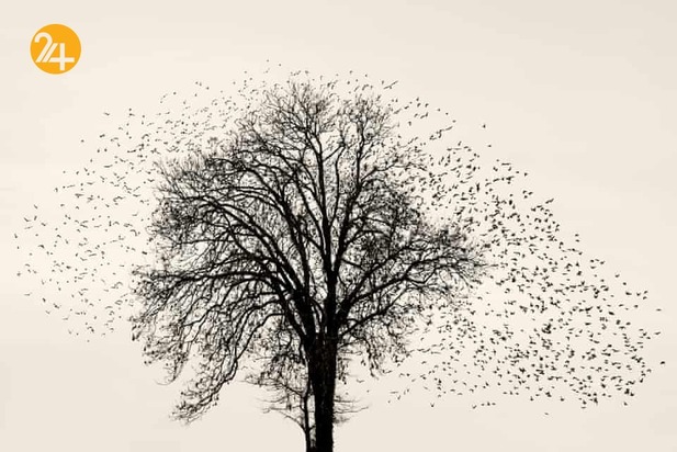 خورشید سیاه