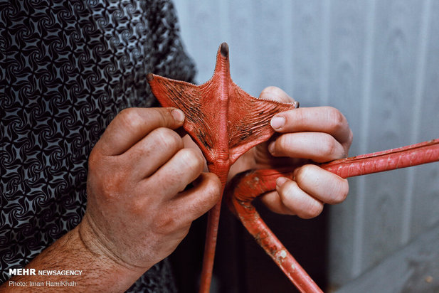 نجات فلامینگوها