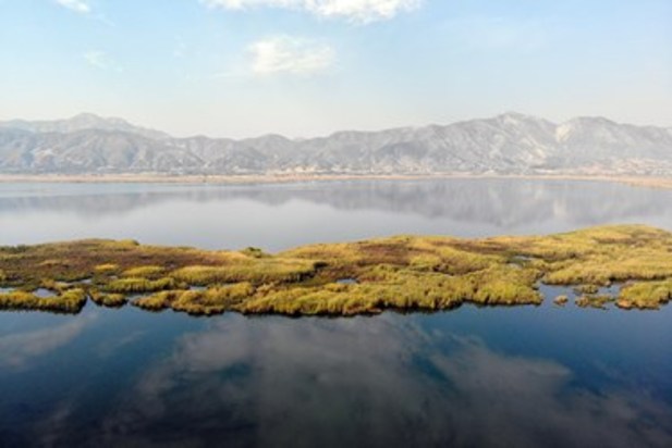 تالاب زریوار بهشت پرندگان