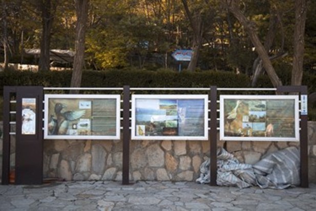 تالاب زریوار بهشت پرندگان