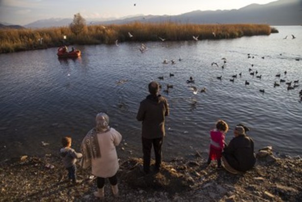 تالاب زریوار بهشت پرندگان