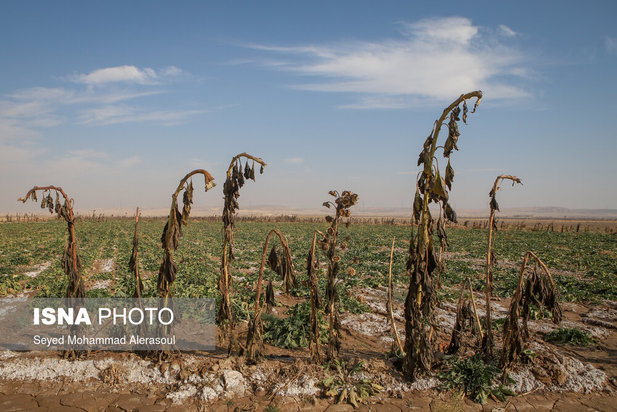 کشف رود، فاضلاب جاری