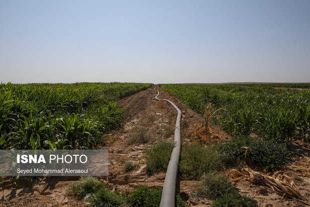 کشف رود، فاضلاب جاری