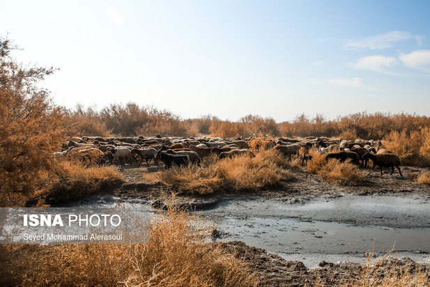 کشف رود، فاضلاب جاری