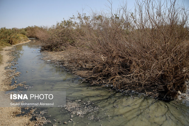 کشف رود، فاضلاب جاری