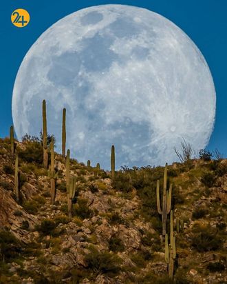 زیباترین تصاویر از ماه