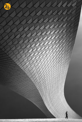 بهترین عکس های 2020