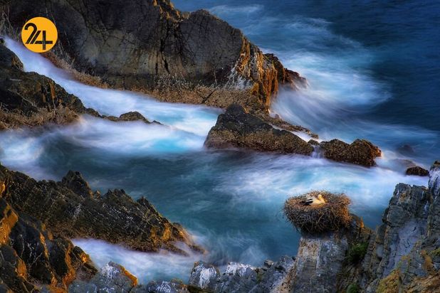 بهترین عکس های 2020