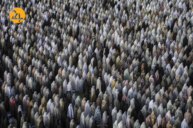 بهترین عکس های 2020