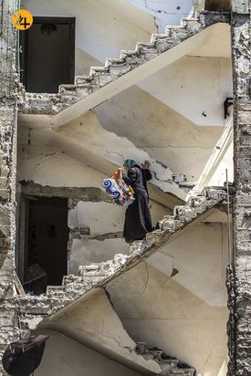 بهترین عکس های 2020