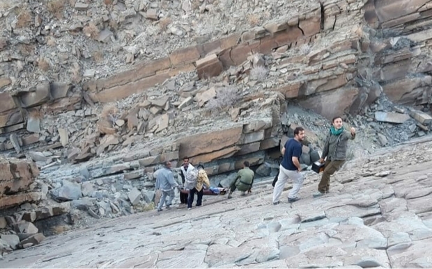 پلنگ ایرانی