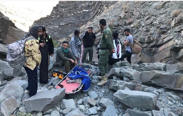 پلنگ ایرانی