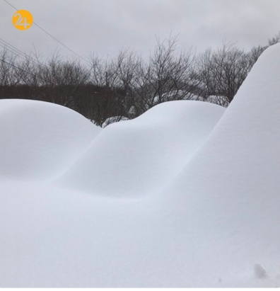 نیویورک مدفون در برف