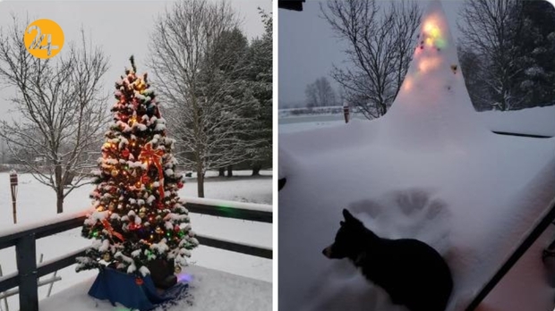 نیویورک مدفون در برف