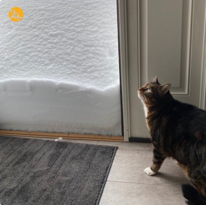 نیویورک مدفون در برف