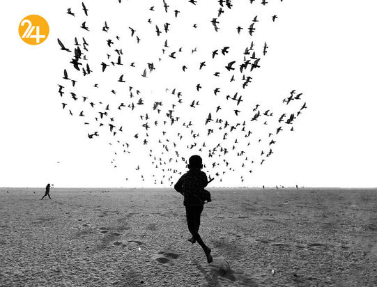 برندگان مسابقه عکاسی بوداپست