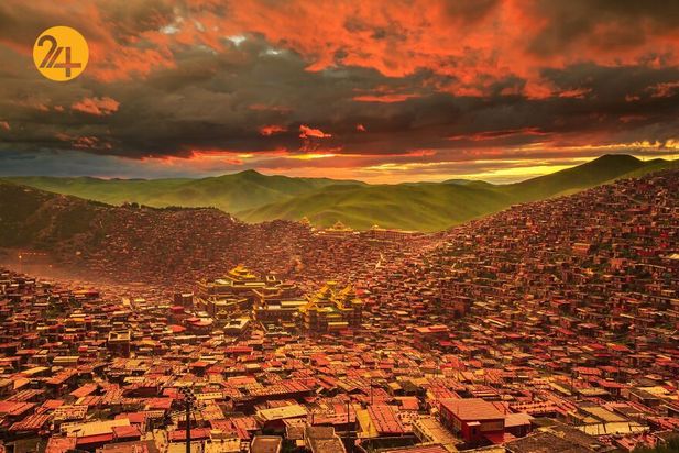 برندگان مسابقه عکاسی بوداپست