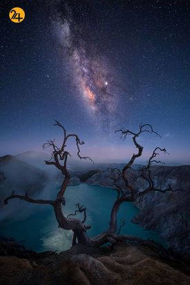 برندگان مسابقه عکاسی بوداپست