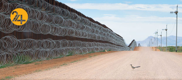 مسابقه عکاسی طبیعت