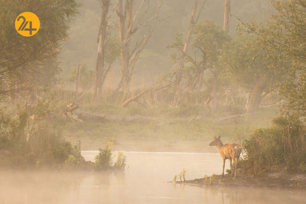 مسابقه عکاسی طبیعت