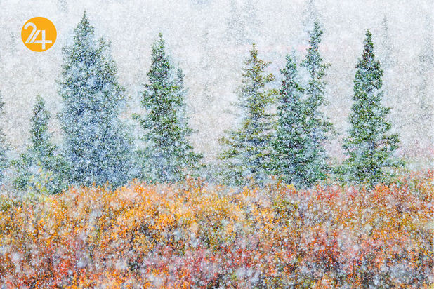 مسابقه عکاسی طبیعت