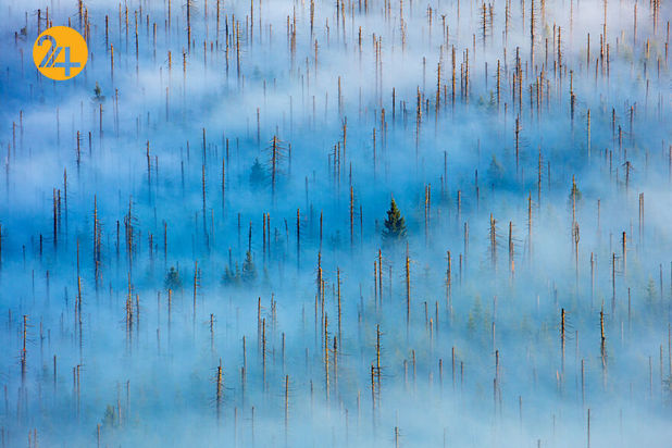 مسابقه عکاسی طبیعت