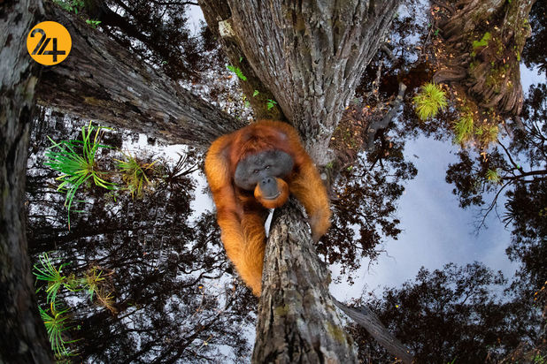 مسابقه عکاسی طبیعت