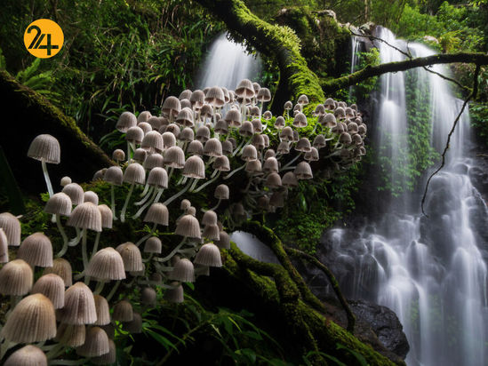 مسابقه عکاسی طبیعت