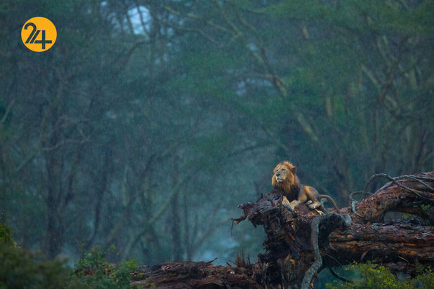 مسابقه عکاسی طبیعت