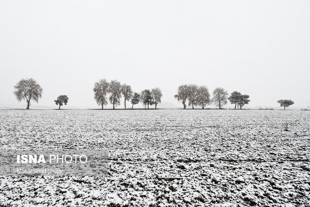 آغاز زمستان