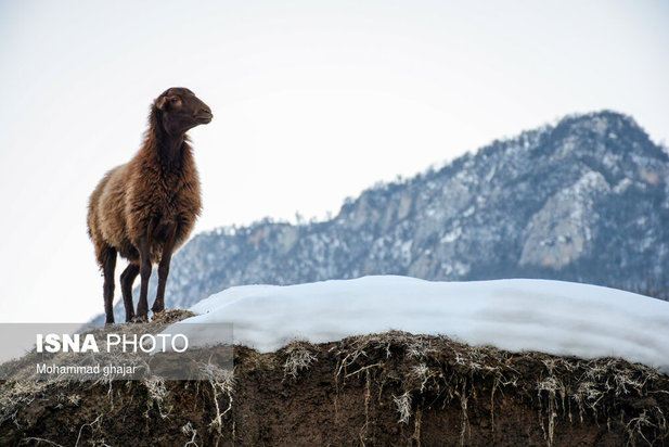 آغاز زمستان